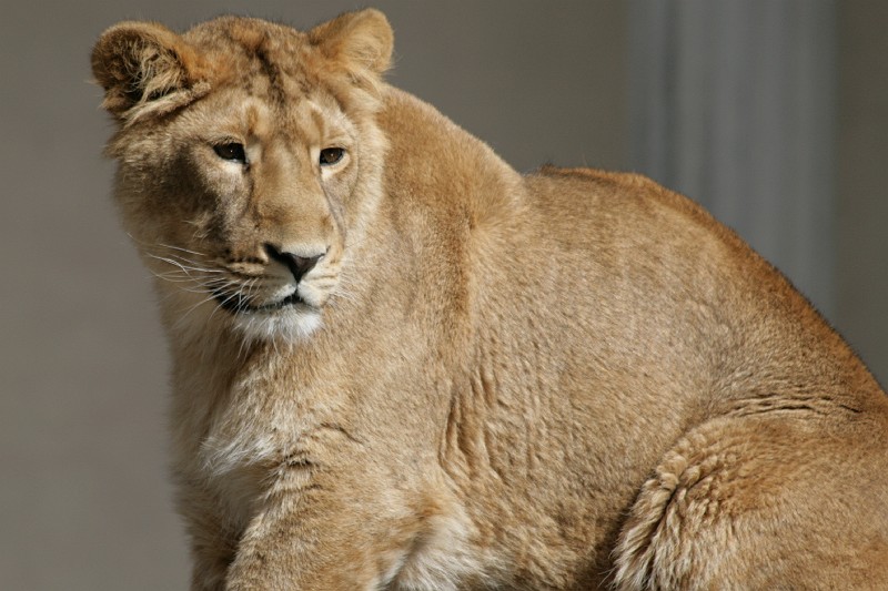 Fotoclubje Blijdorp 2008-61.jpg